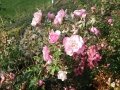20161015_120915