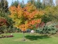 IMG_20161015_120144a