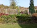 IMG_20161015_120257a