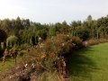 IMG_20161015_120326a