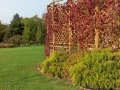 IMG_20161015_120856a