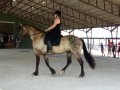 DSC00619