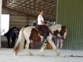 DSC00622