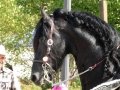 DSC00634