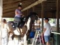 DSC00640