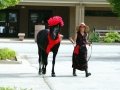 DSC00726