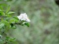 DSC05680