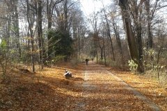 2015-11-08 12.33.24