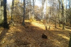 2015-11-08 12.46.55