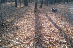 2015-11-08 14.21.10