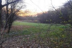 2015-11-08 14.45.07