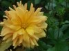 dsc04234s