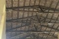 IMG_2806