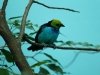 img_4652s