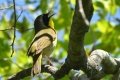 D85_3352
