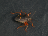 20120810_1