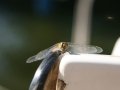 20130817_172230_8364