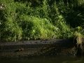 20130817_180052_8395