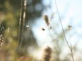 20130824_192132_9032