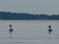 20130818_174808_8465_1