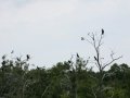 20130820_150153_8647