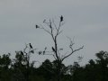 20130820_150202_8649