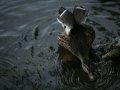 20130821_193409_8789