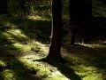20140825_092246_4000_1