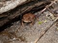 20140815_100657_3591_1