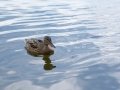 20140822_181828_3734_2