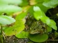 20140823_173158_3800_1