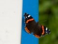 20140824_113736_3897_1