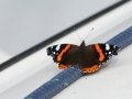 20140824_114039_3909_1