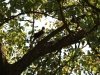 img_0234s