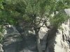 dsc03607