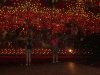 dsc03641
