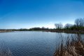 D85_2022