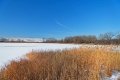 D85_1827