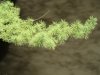 dsc09061