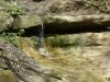 dsc09081