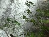 dsc09125