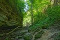 D85_2560