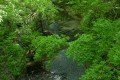 D85_1136a