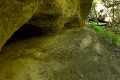 D85_1157a