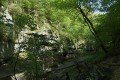 D85_1159a