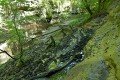 D85_1160a