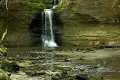 D85_1173a