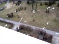 SAMSUNG CAMERA PICTURES