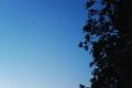 dav