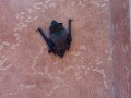 IMG_20170717_123736